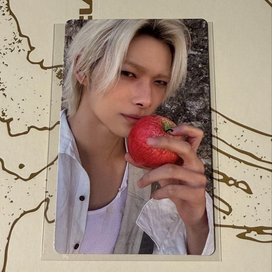 ENHYPEN THE SIN:VANISH ニキ ショケ特典トレカショーケース - メルカリ