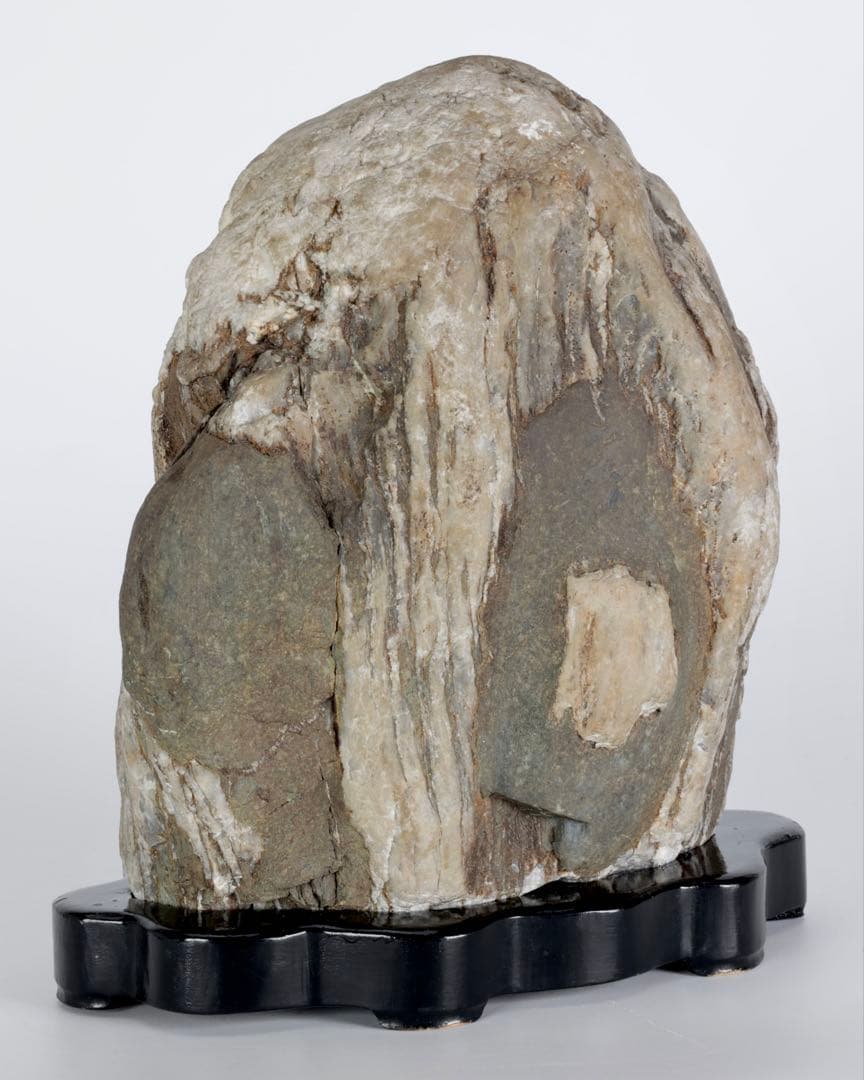 木化石 珪化木 白蛇石 蛇紋石 龍紋石 台座付 4.7kg 天然石 水石 盆石