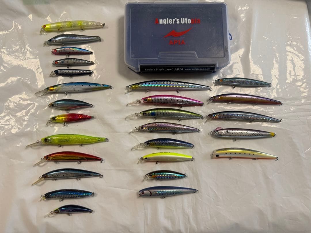 シーバスルアー26セット❗️アピア・シマノ・ダイワ他ケース付き シーバスルアー26セット❗️アピア・シマノ・ダイワ他ケース付き 2026