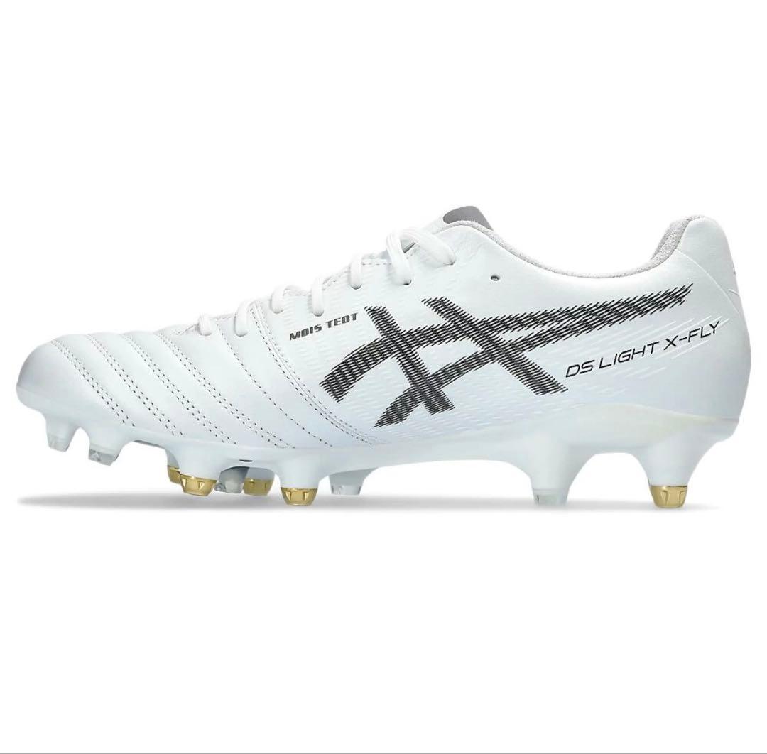 シューズ asics DS LIGHT X-FLY PRO 2 ST 27.5cm