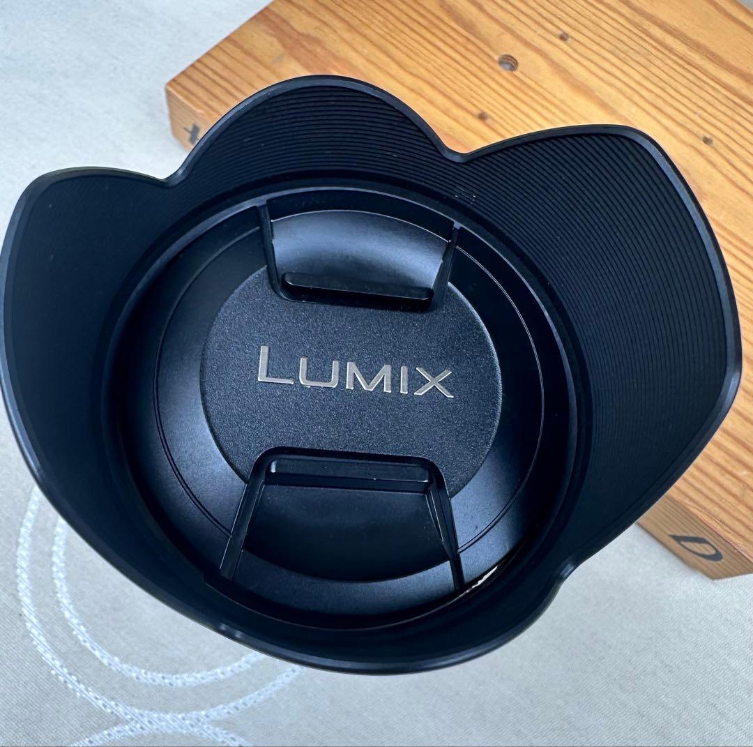 Panasonic LUMIX G 14-42mm F3.5-5.6 極上品