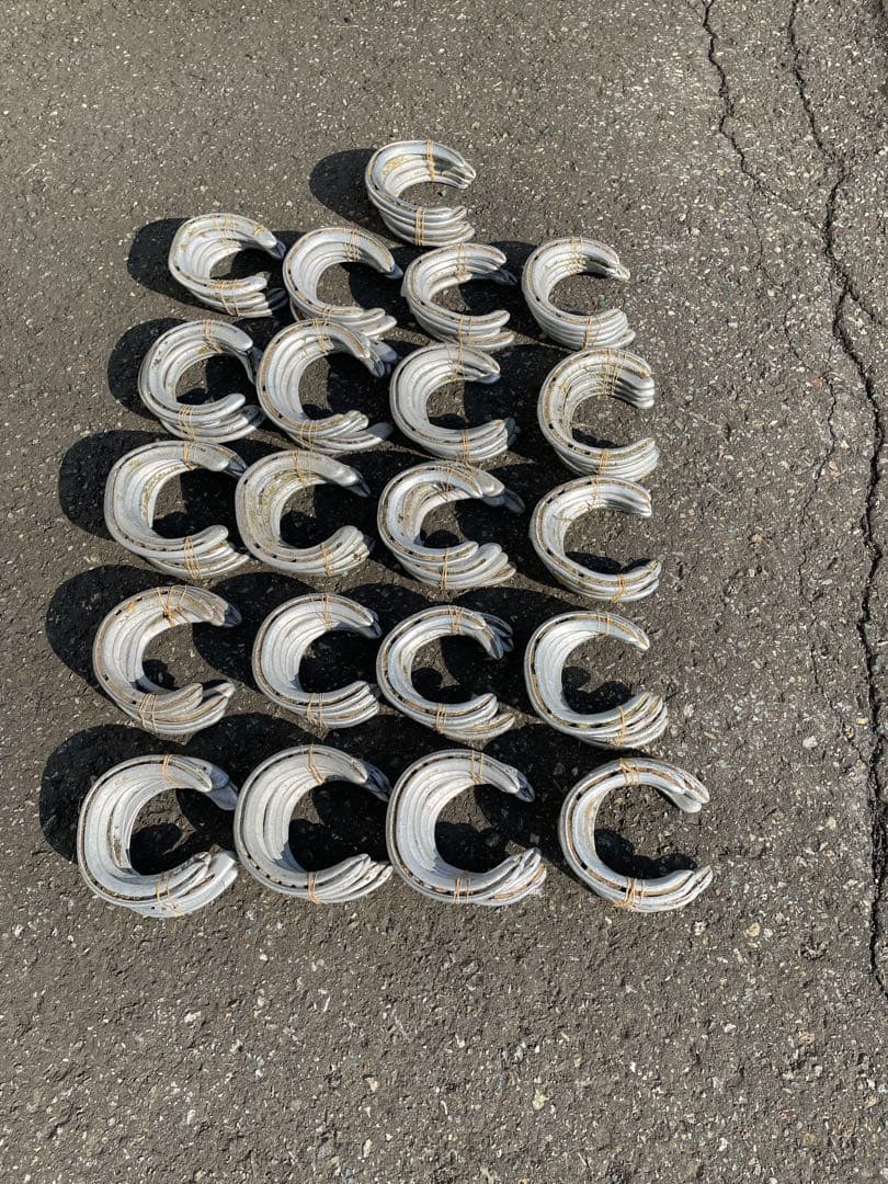 yoshiになりました他の方はご遠慮下さい 蹄鉄100個