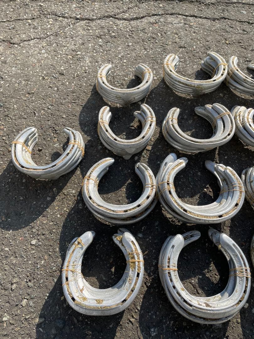 yoshiになりました他の方はご遠慮下さい 蹄鉄100個