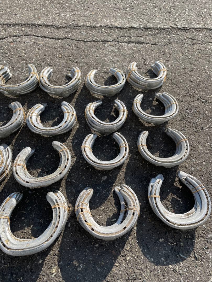 yoshiになりました他の方はご遠慮下さい 蹄鉄100個