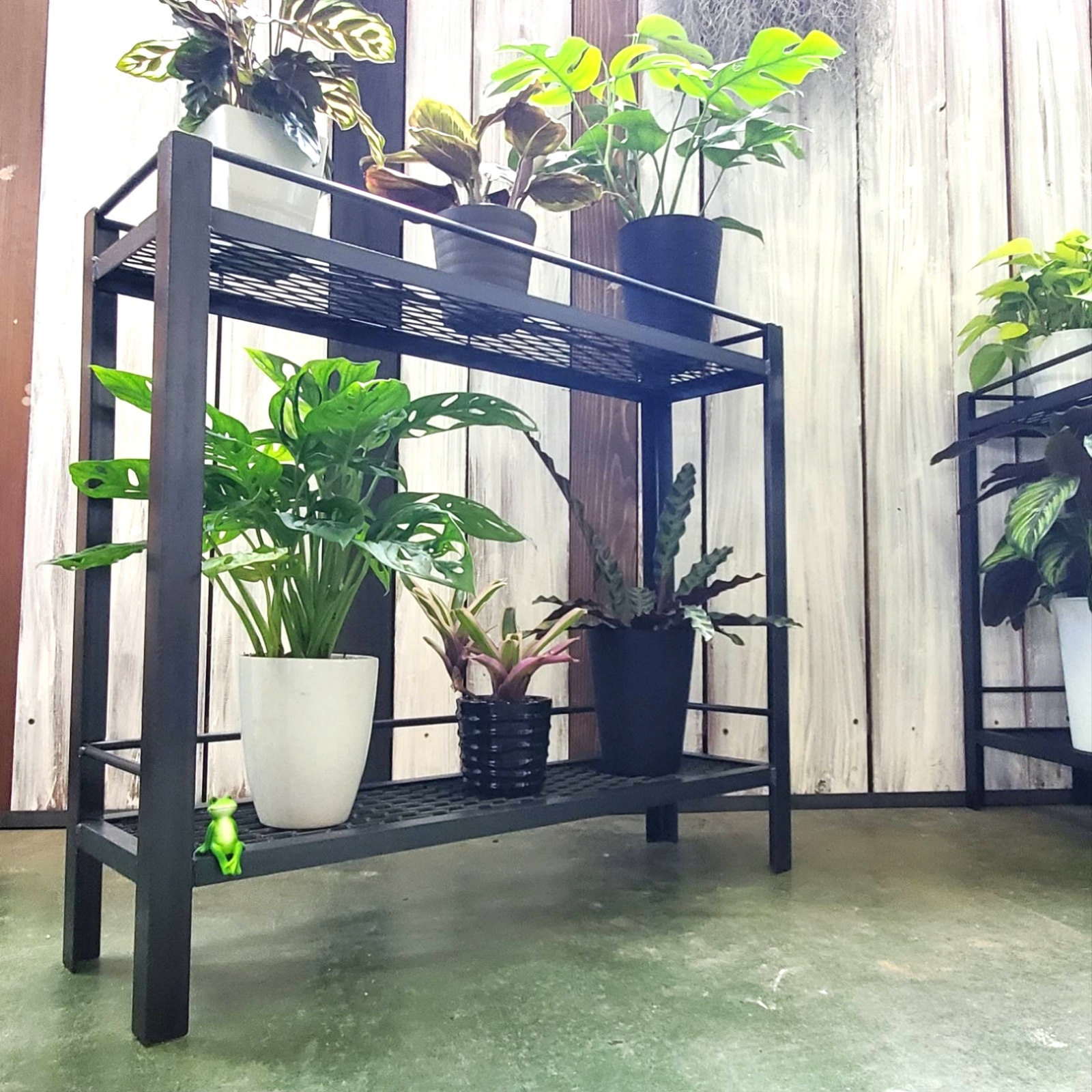 観葉植物 ラック》エキスパンドメタル / 植物棚 フラワースタンド