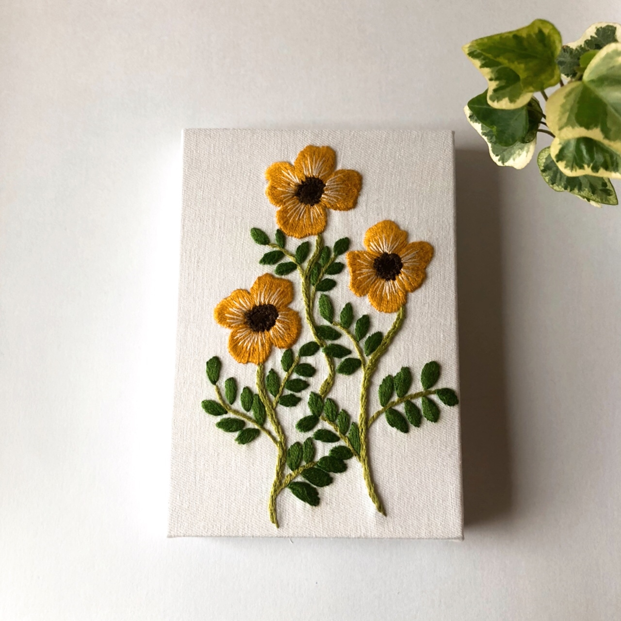 2ce5c5aa853843876f98e4bf9954e6