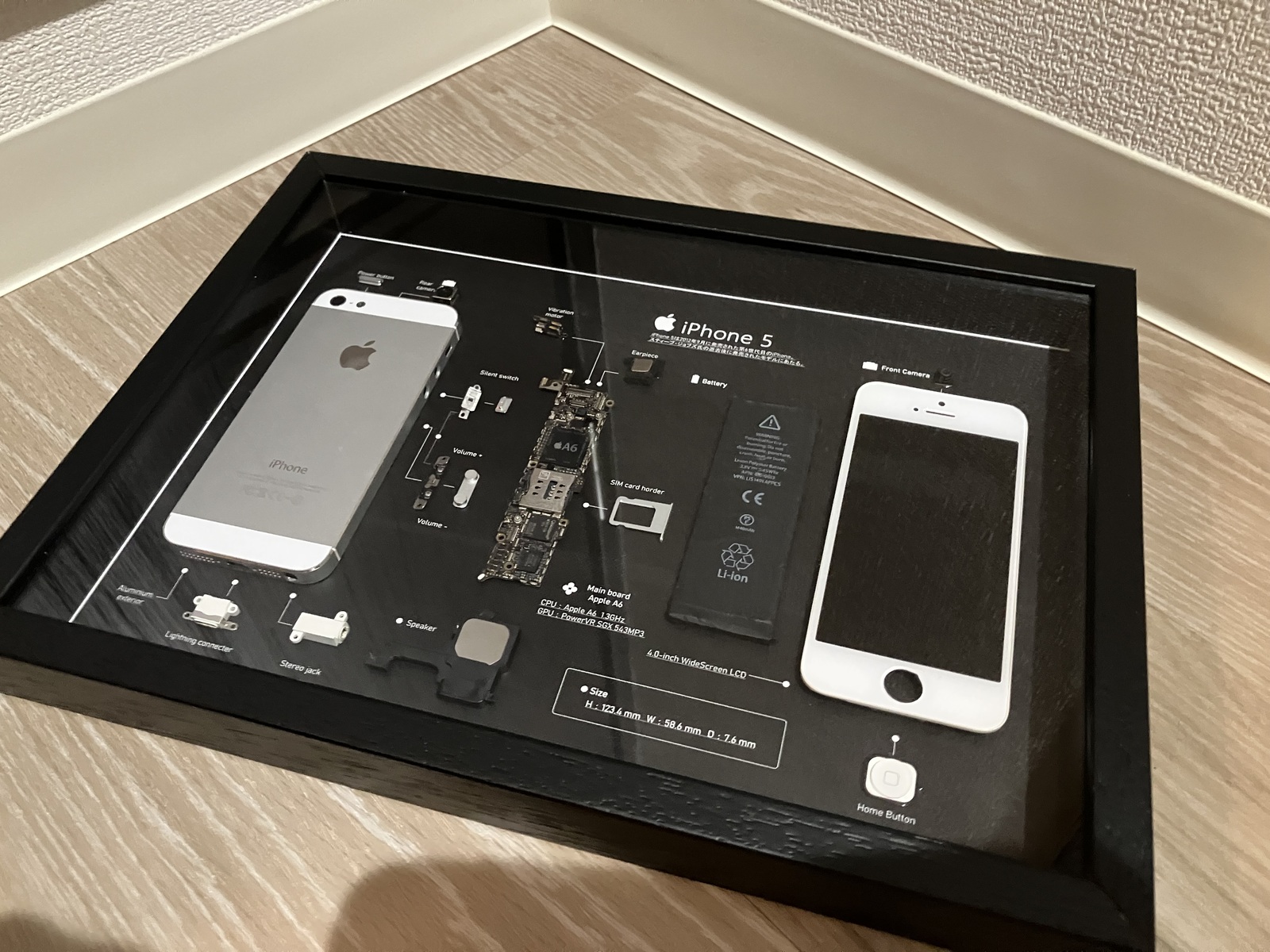 apple iPhone 5 iPhone5 標本アート 自作 - はら。 | minne byGMO