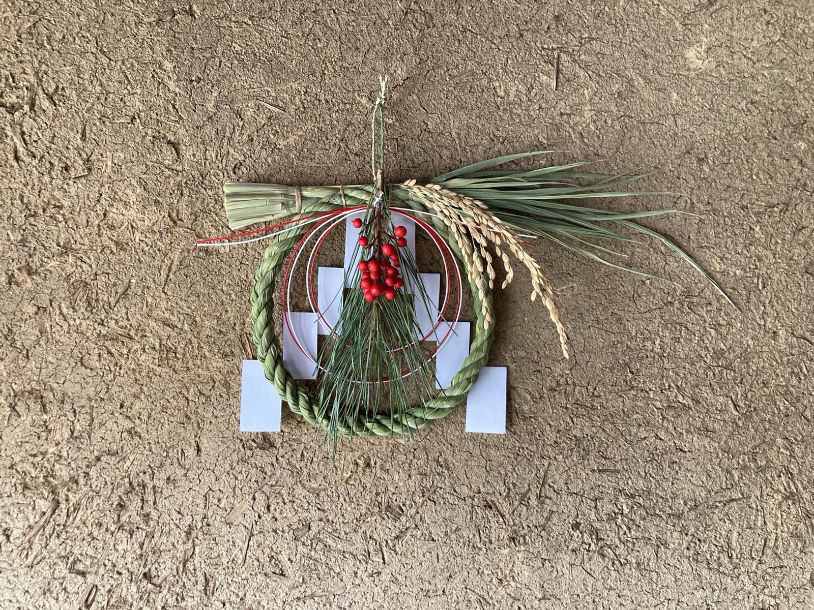 しめ縄・お飾り用】乾燥真菰(まこも)葉［長さ110cm］200g 上質品