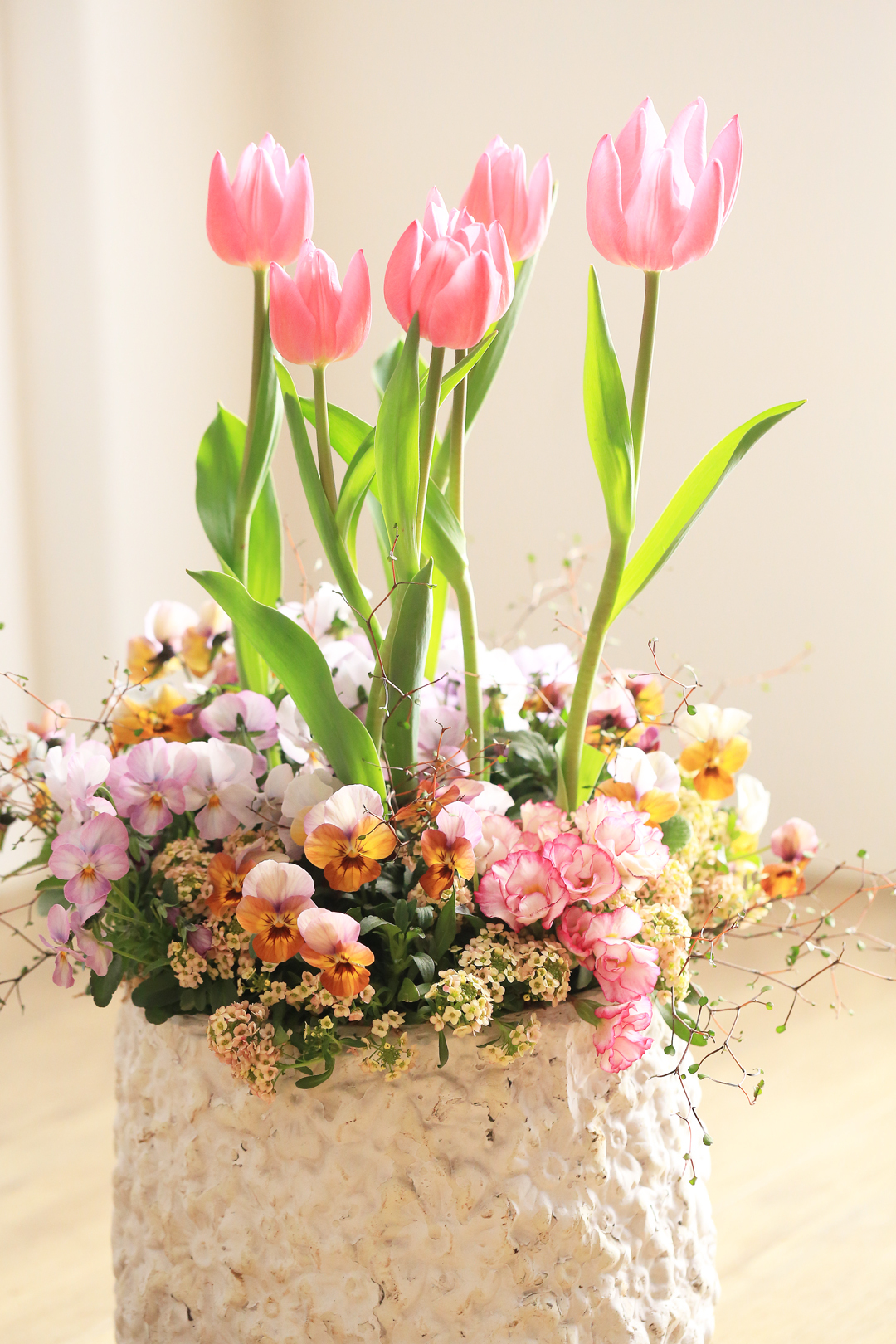 1点物】チューリップとビオラの香る寄せ植えギャザリング - atelier
