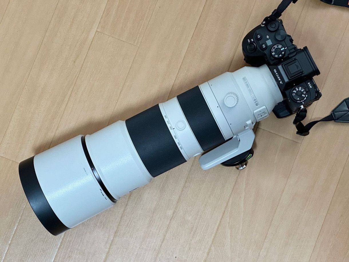 グラっとくる焦点距離800mm 超望遠ズームで撮りたい被写体は：山陽