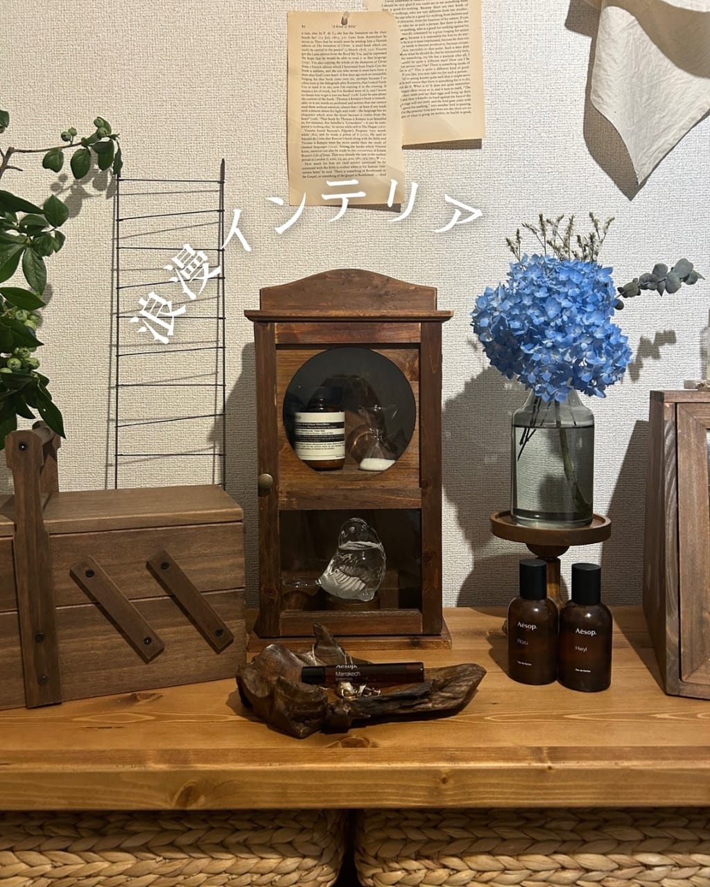 salut!のキャビネット集めてみました！ - salut!(サリュ)ららぽーと