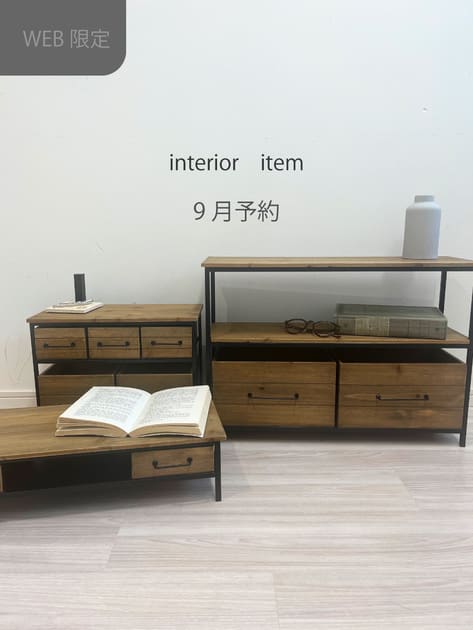 WEB限定アイアンウッドミニ5ドロワーマルチラック | salut!(サリュ