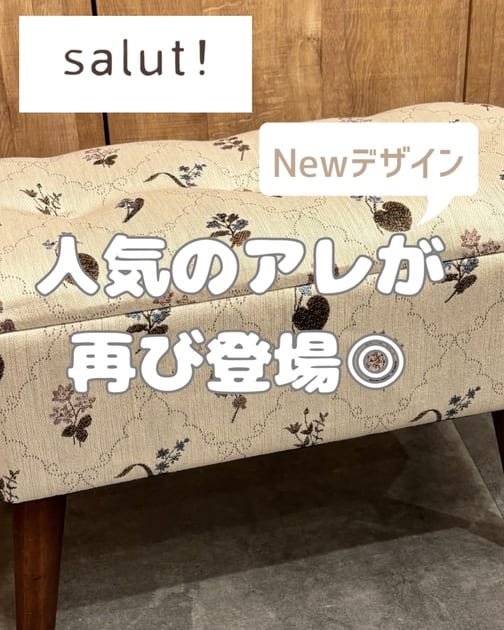 WEB限定quaint鳥かごキャビネット／浪漫インテリア | salut!(サリュ