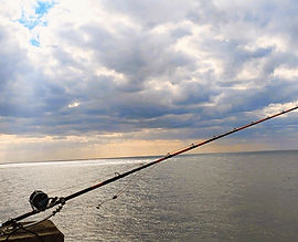 くえ竿 石鯛竿 | 釣房エム