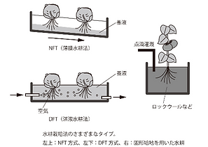 合同会社古都ファーム | NFTシステム