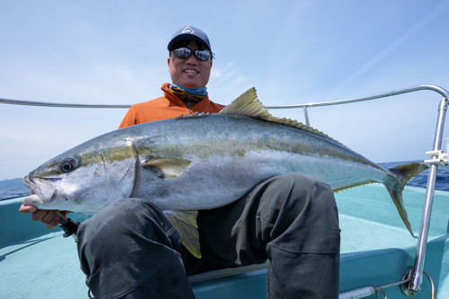 Ghibli80S｜ギブリ80S | TRANSCENDENCE