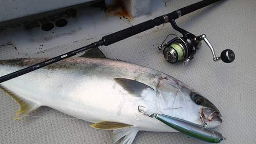 Monsterfin70S｜モンスターフィン70S | TRANSCENDENCE