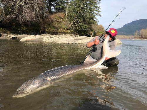 Monsterfin70S｜モンスターフィン70S | TRANSCENDENCE