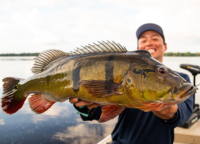 LateBloomings510｜レイトブルーミングス（レイブル）