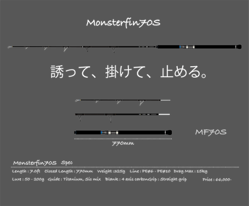 Monsterfin70S｜モンスターフィン70S | TRANSCENDENCE