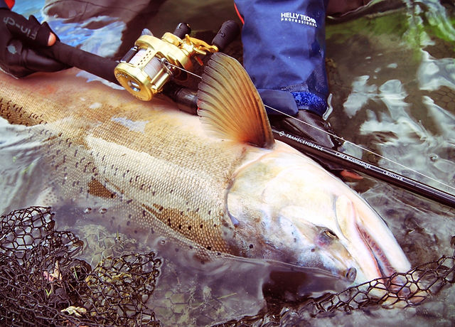 LateBloomings510｜レイトブルーミングス（レイブル）