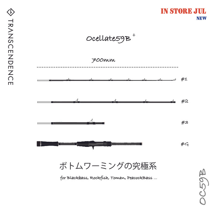 Ocellate59B+ | TRANSCENDENCE