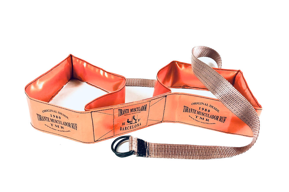 TMR SPECIAL EDITION / TMRスペシャルエディション | 最大筋出力と瞬発