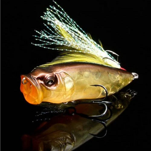 Popmax SP-C Respect Series | Berkshire Bass