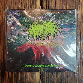 NOISE CULTURE | CAVITY Curiosity Shop