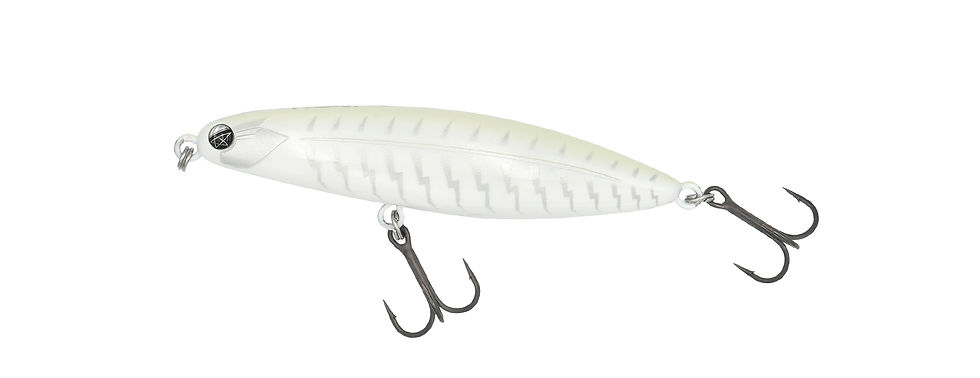 TYGAN 70 | FISH MAGNET Official Web Site