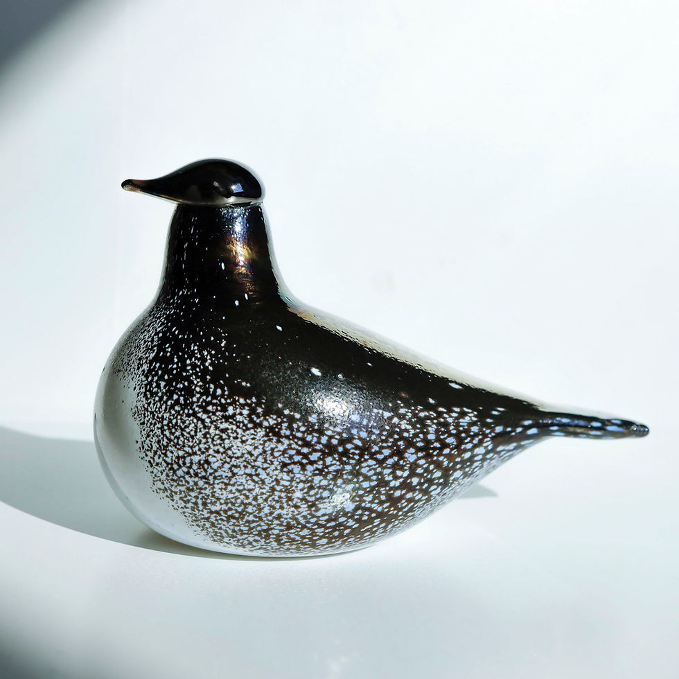 Top Page | GlassBirds Online
