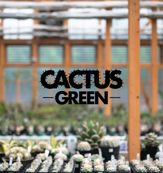 サボテン | CACTUS GREEN［カクタスグリーン］ | 日本 - コーデックス