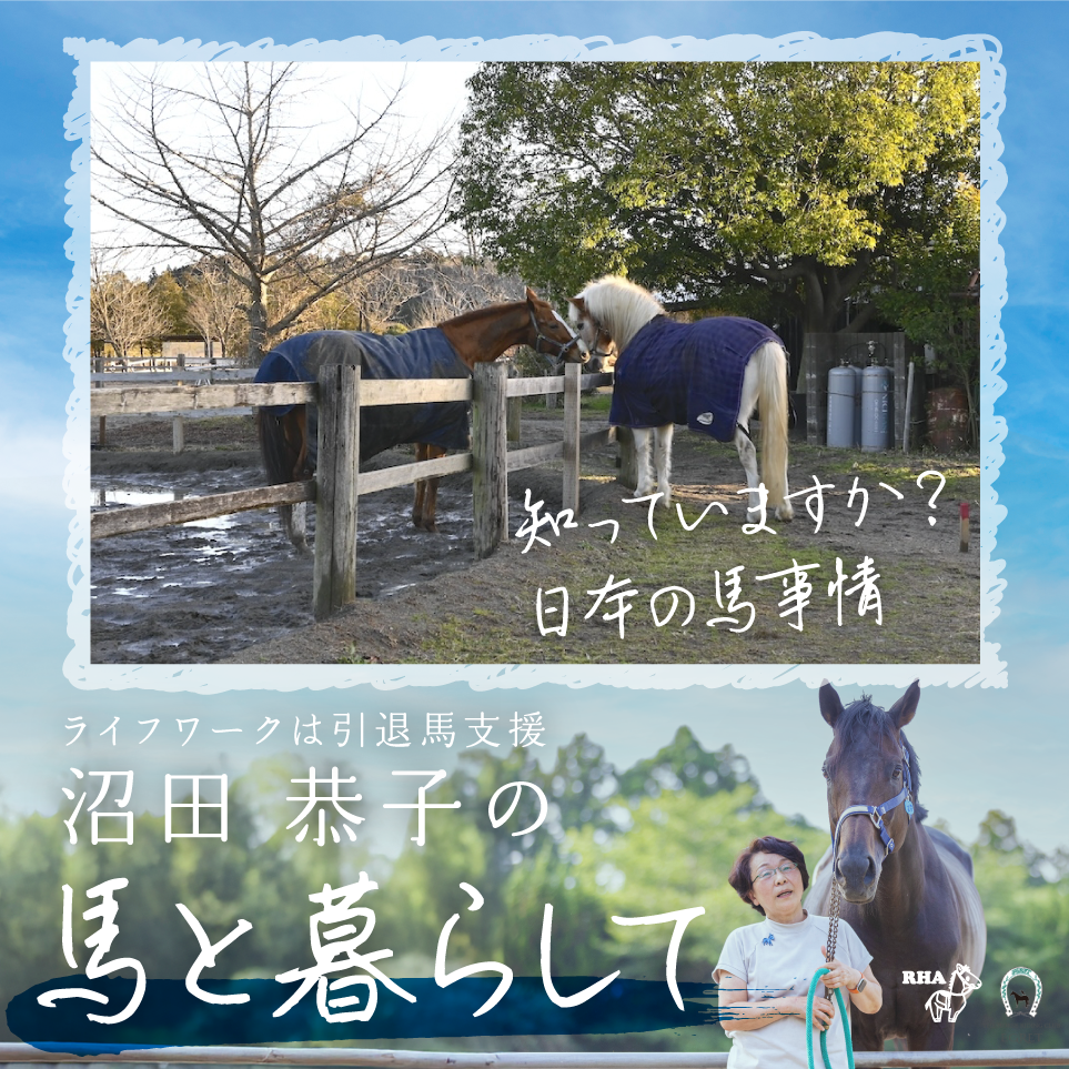 馬29頭と暮らす毎日🐴 でも、子供の頃は動物が苦手でした😅