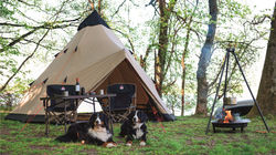 Apache 2020 | ROBENS JAPAN