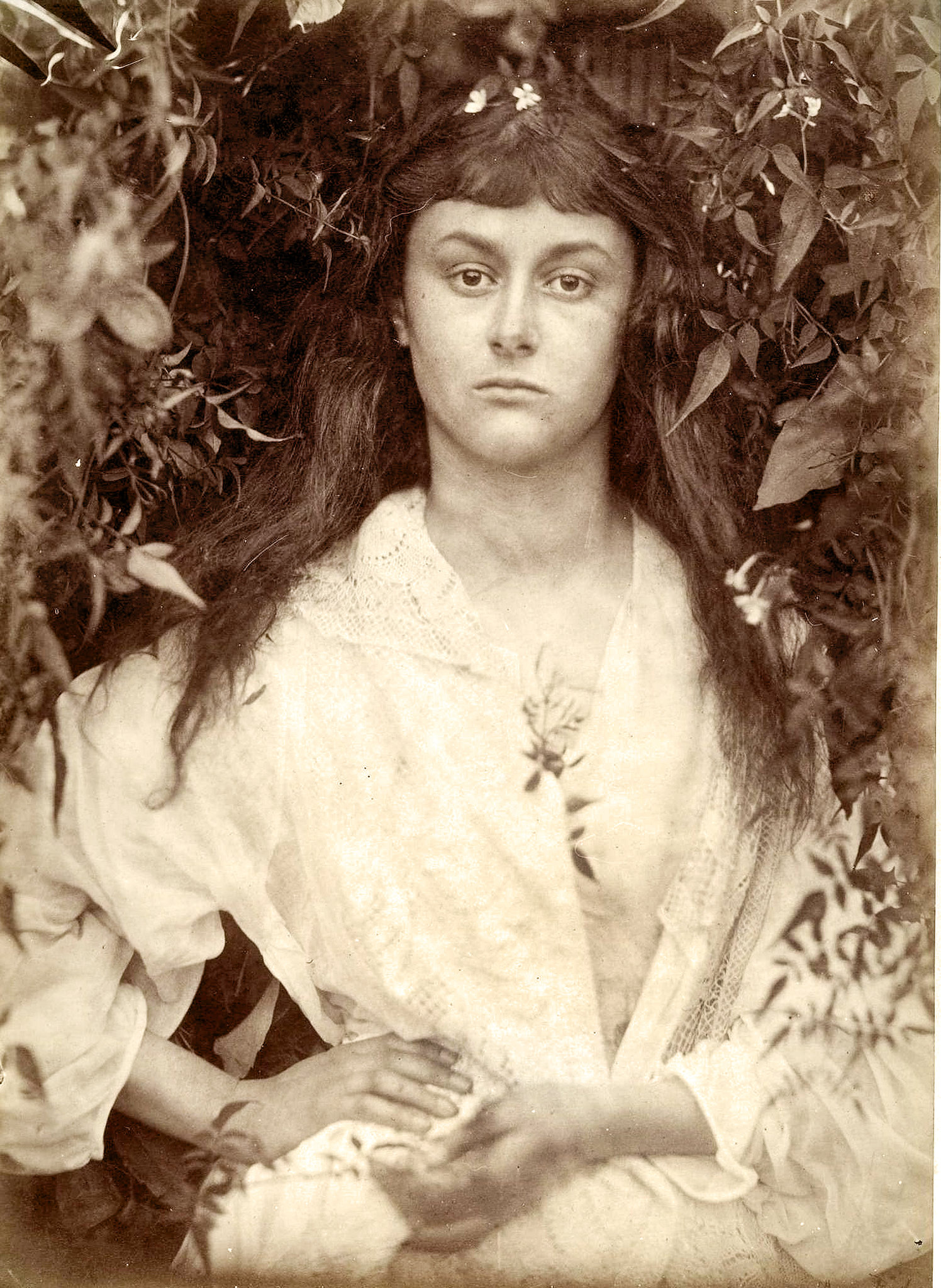 Julia Margaret Cameron,' at the Metropolitan Museum of Art - The