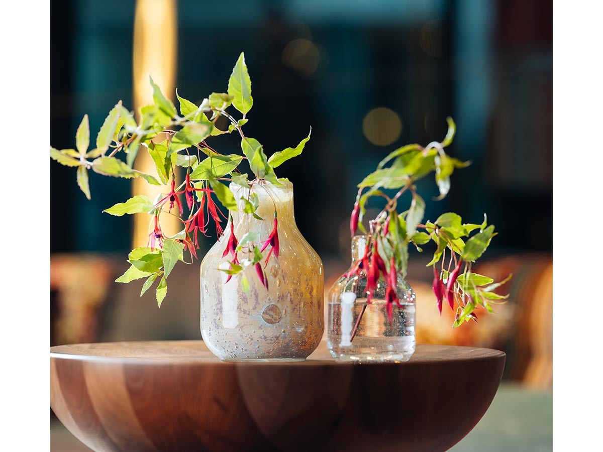 Henry Dean V.Barbat S / ヘンリーディーン V.バルバット S（コルゾ