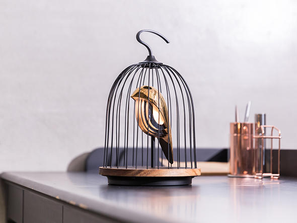 FLYMEe PLUS JinGoo The Phoenix / フライミープリュス ジングー LED