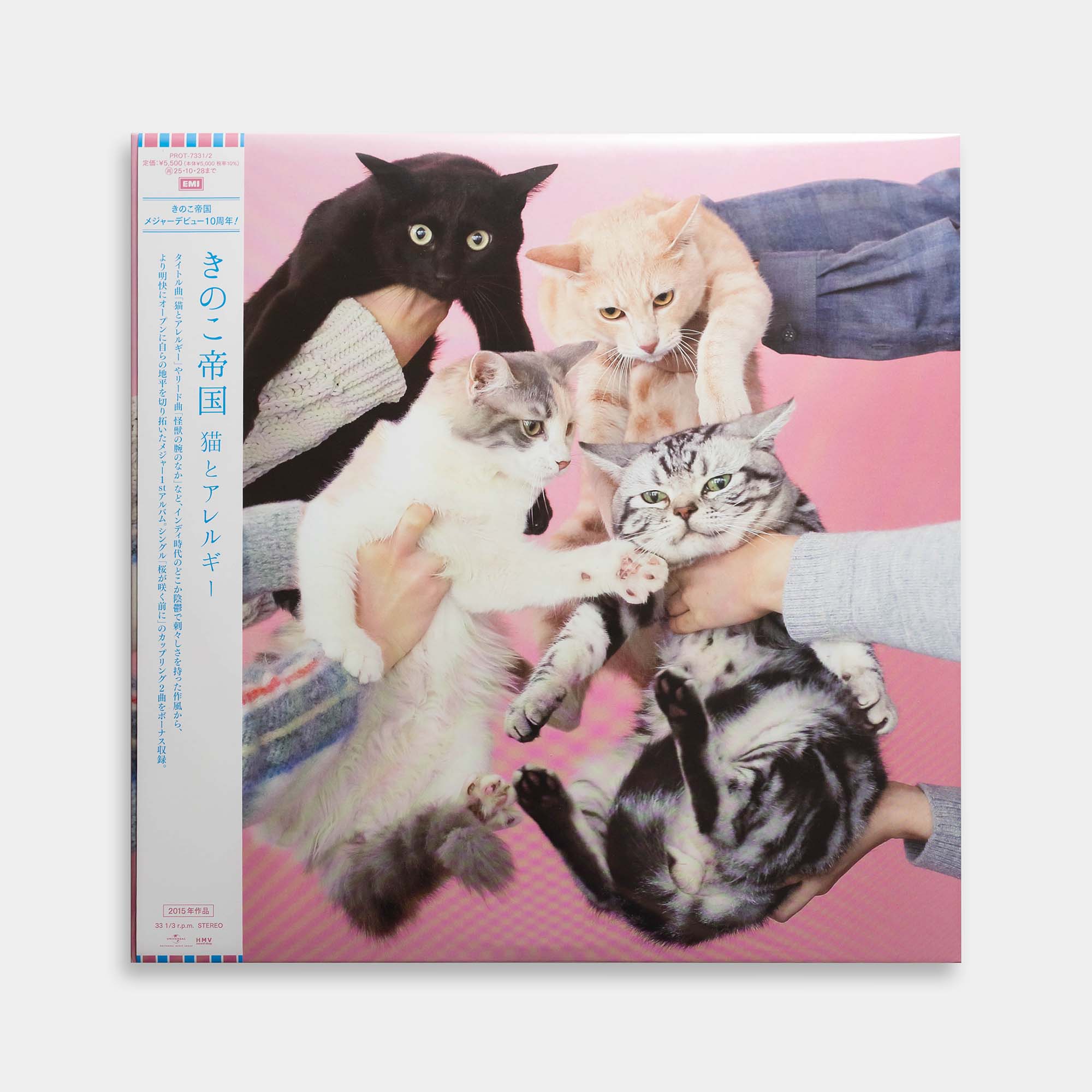きのこ帝国 - 猫とアレルギー【2LP】【レコード】 – Staghorn Records