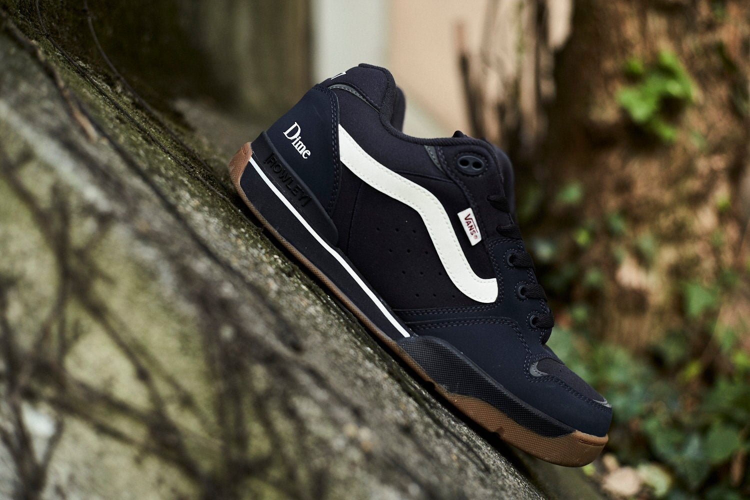 Vans X Dime Rowley Xlt Men's Skate Shoes