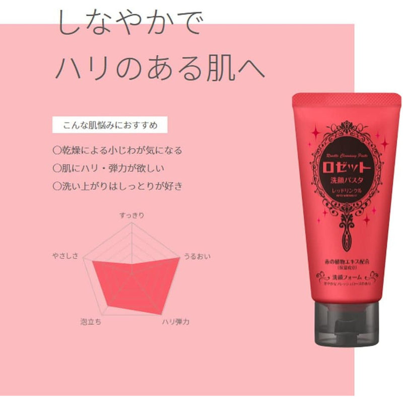 リペアキット500,セルパウダーラージ、顔料ピグメントレッド Pigment