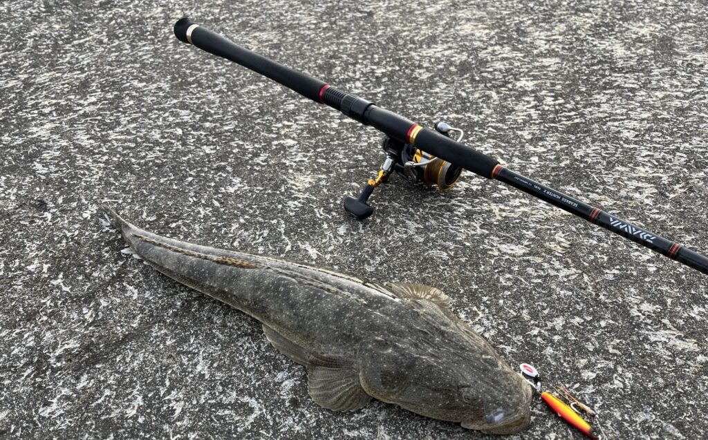 ダイワ】シーバスハンターXは1万円台で買える高性能・万能ロッド