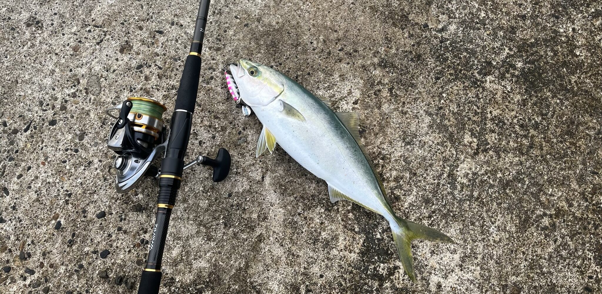 ショアジギングロッドおすすめ13選！堤防・サーフの青物狙いに最適な